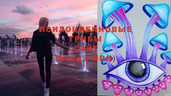 spice Богородск