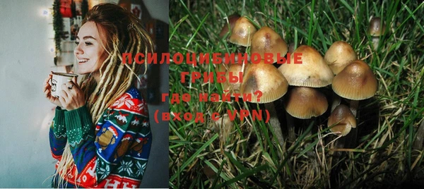мдма Белокуриха